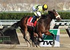 Dixie City cruises home in the Demoiselle. <br><a target="blank" href="http://www.bloodhorse.com/horse-racing/photo-store?ref=http%3A%2F%2Fpictopia.com%2Fperl%2Fgal%3Fprovider_id%3D368%26ptp_photo_id%3D9301654%26ref%3Dstory">Order This Photo</a>
