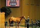 Vallenzeri brings $1.9 million during the first session of the Keeneland 2-year-old sale.