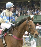 Twelve Horses Nominated to Breeders' Cup Steeplechase Twelve Horses Nominated to Breeders' Cup Steeplechase