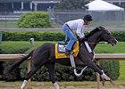 Jackson Bend turned in a bullet five-furlong work in 1:00-flat April 22 at Churchill Downs.<br><a target="blank" href="http://www.bloodhorse.com/horse-racing/photo-store?ref=http%3A%2F%2Fpictopia.com%2Fperl%2Fgal%3Fprovider_id%3D368%26ptp_photo_id%3D8909841%26ref%3Dstory">Order This Photo</a>