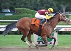 Spinaway winner R Heat Lightning is one of 4 trained by Todd Pletcher in the Frizette.