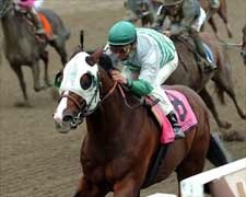 Pomeroy Pops An Upset in Forego Handicap Pomeroy Pops An Upset in Forego Handicap
