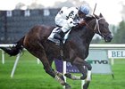 Interpation upsets a stellar field in the Joe Hirsch Turf Classic Invitational. <br><a target="blank" href="http://www.bloodhorse.com/horse-racing/photo-store?ref=http%3A%2F%2Fpictopia.com%2Fperl%2Fgal%3Fprovider_id%3D368%26ptp_photo_id%3D8530558%26ref%3Dstory">Order This Photo</a>