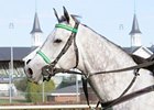 Champion Forever Together Retired Champion Forever Together Retired