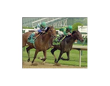 Perfect Drift, left, runs down favored Mineshaft in the final furlong to capture the Stephen Foster Handicap Saturday at Churchill Downs.