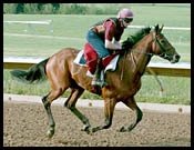 O'Brien Horses Prepare for Derby at Keeneland O'Brien Horses Prepare for Derby at Keeneland