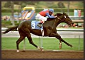 Santa Anita Race Report: Gold Find Santa Anita Race Report: Gold Find
