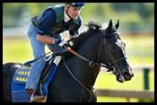 War Emblem 5-2 for Preakness War Emblem 5-2 for Preakness