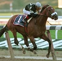Albert the Great, Aptitude Head Gold Cup Field Albert the Great, Aptitude Head Gold Cup Field