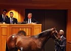 Hip 314 sold for $220,000.