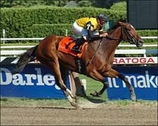 Dream Rush Makes Darley Test Look Easy Dream Rush Makes Darley Test Look Easy