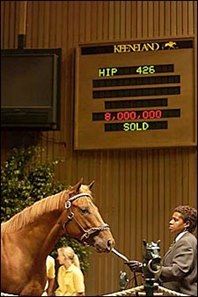 Storm Cat colt, sold for $8 million.