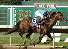 Paynter wins the Haskell