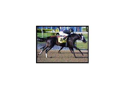 Repent (4) edges Easyfromthegitgo in the Louisiana Derby.