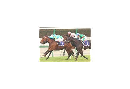 Falbrav (1) defeats Sarafan (background) in the Japan Cup, followed by Symboli Kris S (near) and Magneten.