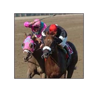 Commentator (right) survives late surge by Saint Liam to win the Whitney.