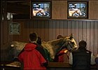 Prospective buyers look over horses in the back walking ring during the Keeneland January Horses of All Ages Sale.