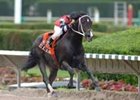 Yes He's the Man Wires Spend a Buck Field Yes He's the Man Wires Spend a Buck Field