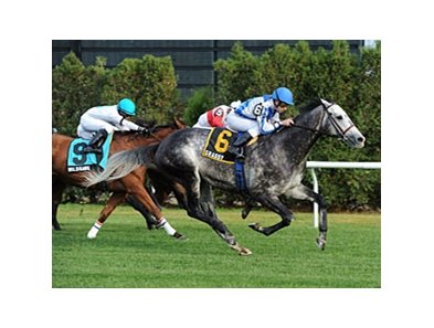 Grassy won the Red Smith Handicap in 2010.