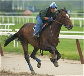 Steve Haskin's Belmont Report: Empire Maker Turns in Powerhouse Gallop Steve Haskin's Belmont Report: Empire Maker Turns in Powerhouse Gallop