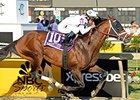 Commissioner and Javier Castellano take the Pimlico Special.<br><a target="blank" href="http://photos.bloodhorse.com/AtTheRaces-1/At-the-Races-2015/i-ZsP9NDZ">Order This Photo</a>