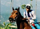 Stakes Winner/Producer Borodislew Dead Stakes Winner/Producer Borodislew Dead