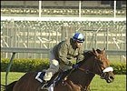 Frankel Reconsidering Jockey Mount Frankel Reconsidering Jockey Mount