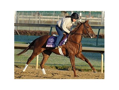 Pure Gossip<br><a target="blank" href="http://www.bloodhorse.com/horse-racing/photo-store?ref=http%3A%2F%2Fpictopia.com%2Fperl%2Fgal%3Fprovider_id%3D368%26ptp_photo_id%3D9726899%26ref%3Dstory">Order This Photo</a>