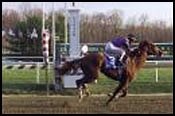 From the Magazine: Delaware Township Exits on Top From the Magazine: Delaware Township Exits on Top