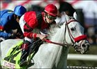 Tyler Baze rides Florida-bred Star Over the Bay to the win in the Sunshine Millions Warren's Thoroughbreds Turf race, Saturday at Santa Anita.