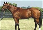 Heiligbrodts Sell Interest in Leading Sire Posse Heiligbrodts Sell Interest in Leading Sire Posse