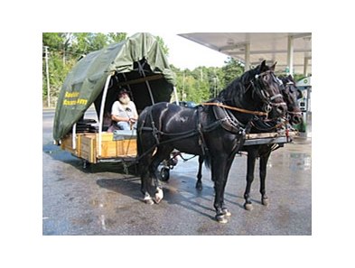 Rodney Burnett in his specially built wagon pulled by his two Morgan Horses, Jonas and King Regent, stop during a practice run near their Williston, FL Home.