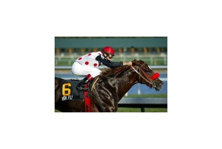 High Fly joins Noble Causeway to give Nick Zito two shots at winning first Florida Derby.