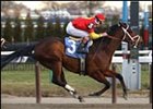 Affirmed Success won an allowance race at Aqueduct on Friday.