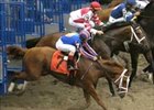 Eventual Belmont winner Rags to Riches stumbles badly coming out of gate.<br><a target="blank" href="http://www.bloodhorse.com/horse-racing/photo-store?ref=http%3A%2F%2Fpictopia.com%2Fperl%2Fgal%3Fgallery_id%3D16620%26sequencenum%3D0%26provider_id%3D368%26process%3Dgallery%26page%3Dthumbnails%26ref%3Dstory">Order Belmont Photos</a>