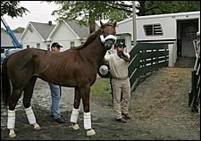 Servis: Smarty Jones Had a 'Bulls-Eye' on Him Servis: Smarty Jones Had a 'Bulls-Eye' on Him