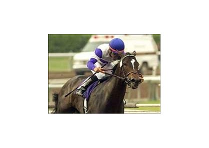 Cash Included hits the head of the stretch on the way to a win in the Oak Leaf Stakes, Saturday at Santa Anita.