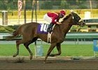 Swiss Diva wins the California Breeders Champion Stakes, Friday at Santa Anita.