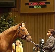Baffert Confirms Sekiguchi's Ownership of $8-Million Colt Baffert Confirms Sekiguchi's Ownership of $8-Million Colt