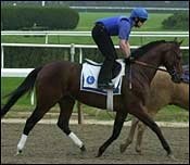 Steve Haskin's Classic Report: Fantastic Sees the Light Steve Haskin's Classic Report: Fantastic Sees the Light