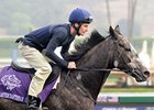 Mastercraftsman will stand at Coolmore Stud in Ireland.