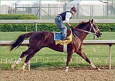 Steve Haskin's Derby Report: Smart Bomb Ready to Drop Steve Haskin's Derby Report: Smart Bomb Ready to Drop