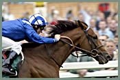 War Threat Will Not Derail Dubai World Cup War Threat Will Not Derail Dubai World Cup