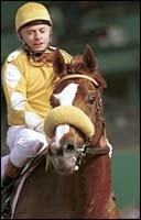 Grade I Winner Bienamado Retired Because of Injury Grade I Winner Bienamado Retired Because of Injury