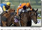 Pedigree Profile: Action This Day Pedigree Profile: Action This Day