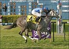 Bedanken, ridden by Don Pettinger, crosses the finish line to win the Bayou Breeders' Cup Handicap at the Fair Grounds.