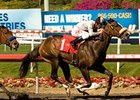 Tanda held off favored Switch to win the Railbird Stakes at Hollywood Park.<br><a target="blank" href="http://www.bloodhorse.com/horse-racing/photo-store?ref=http%3A%2F%2Fpictopia.com%2Fperl%2Fgal%3Fprovider_id%3D368%26ptp_photo_id%3D8951212%26ref%3Dstory">Order This Photo</a>