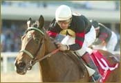 'Buffy' Gets All the Railbird Attention 'Buffy' Gets All the Railbird Attention