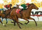 Vacare won the Dec. 21 Dahlia Handicap (gr. IIT) at Hollywood Park.<br><a target="blank" href="http://www.bloodhorse.com/horse-racing/photo-store?ref=http%3A%2F%2Fpictopia.com%2Fperl%2Fgal%3Fprovider_id%3D368%26ptp_photo_id%3D7289010%26ref%3Dstory">Order This Photo</a>