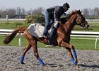 Mafaaz was the winner of the 2009 Kentucky Derby Challenge Stakes.